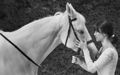 “말 타고 웨딩사진을?... 렛츠런파크 부산경남에서 웨딩스냅 찍자”