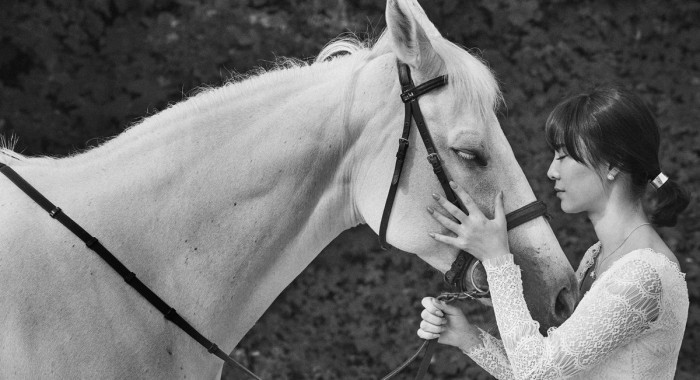 “말 타고 웨딩사진을?... 렛츠런파크 부산경남에서 웨딩스냅 찍자”